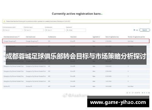 成都蓉城足球俱乐部转会目标与市场策略分析探讨