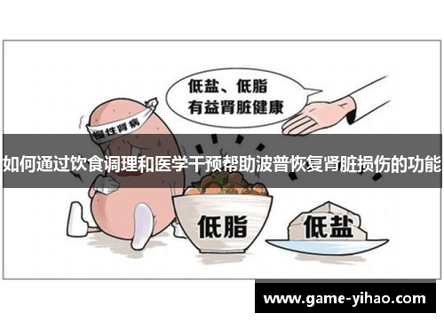 如何通过饮食调理和医学干预帮助波普恢复肾脏损伤的功能