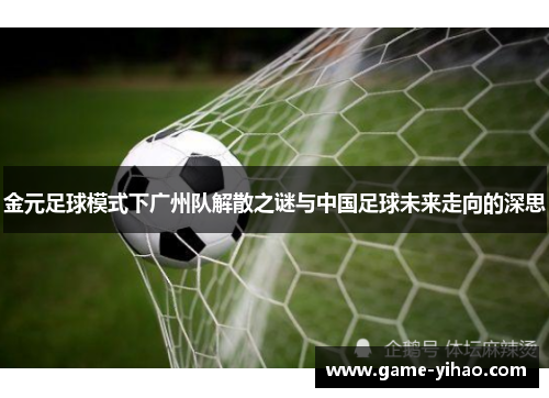 金元足球模式下广州队解散之谜与中国足球未来走向的深思